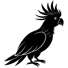 Cockatoo bird icon silhouette vector art illustration