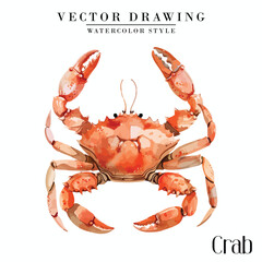 Crab Seafood vector vintage watercolor style 
