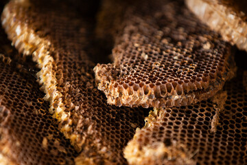 close up of honeycomb