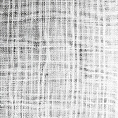 Simple white canvas texture with a fine weave, perfect for a clean and classic background