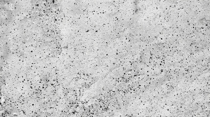 Fototapeta premium Soft grey granite texture with a fine speckled pattern