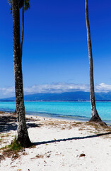 Sand Beach With Coconut Tree Trunks Blue Water Sky Clouds