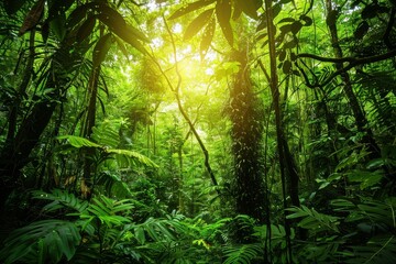 Obraz premium Sunbeams Through a Lush Tropical Forest