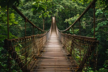 Wooden Suspension Bridge Through Lush Green Forest