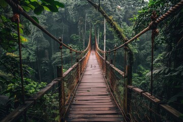 Suspension Bridge Through a Lush Jungle