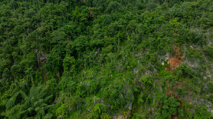 Obraz premium aerial view of dark green forest Abundant natural ecosystems of rainforest. Concept of nature forest preservation and reforestation