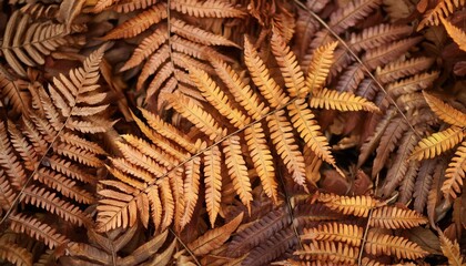 Fern Leaf Close Up with Natural Textures and Patterns, Autumn Theme