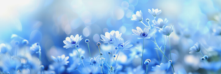 Field of Blooming Blue Flowers in Soft Focus
