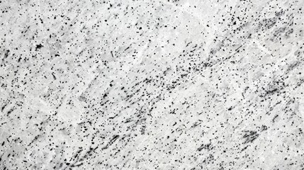 Fototapeta premium Light grey granite texture with subtle speckling and natural variation