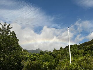 Yakushima is a World Heritage Site island located in Kagoshima Prefecture, Kyushu, Japan, is home...