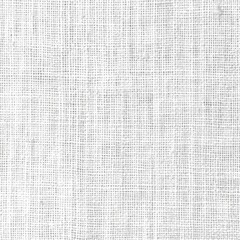 Simple white canvas texture with a fine weave, perfect for a clean and classic background