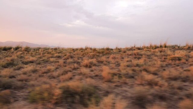 Wild steppe of Kazakhstan, Altyn Emel, Sunset | Дикая степь Казахстана, Алтын Эмель, Закат