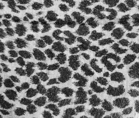 Monochrome fabric texture_171118