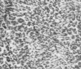 Monochrome fabric texture_175213