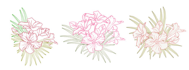 Jasmine flower and palm leaves line art composition for design of card,stickers, scrapbook. Delicate tropical flower, vector background