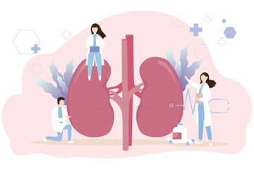 Kidney healthcare vector concept. Doctors search for information to diagnose urinary tract disease. kidney failure, kidney stones, Treatment of pyelonephritis, Medical concept.