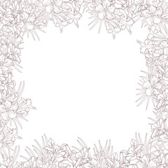 Jasmine flower and palm leaves line art frame for card, invite, scrapbook or wallpaper. Delicate tropical flower, vector background