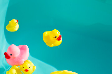 Rubber ducks in blue water
