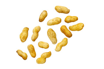 Roasted peanuts in shell on white background.