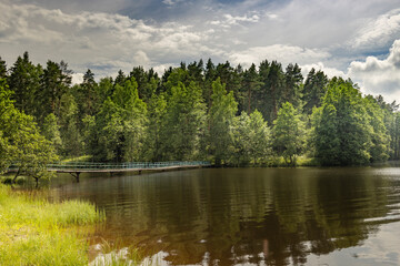 A lake with a bridge and trees in the background
