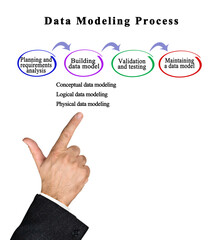 Components of Data Modeling Process