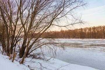 A snowy landscape with a tree in the foreground