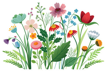 Fototapeta premium set of wild flowers vector illustration