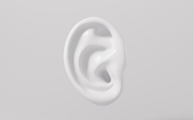 Human ear model, auditory system, 3d rendering.