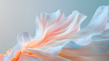 Obraz premium Minimalist X-ray close-up of translucent gerbera petals, frosted glass backdrop, soft natural light in minimalist setting, vibrant colors and intricate details.