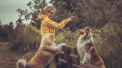 Urlaub im Sauerland mit 2 rough Collies und Frau in Interaktion outdoor Sommer wandern © Renee Heetfeld