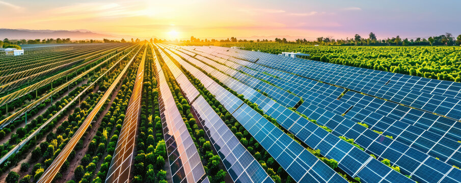 A large solar farm in the middle of a lush green field.