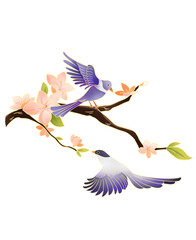blue bird flying