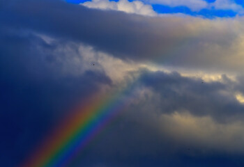 A vibrant rainbow adorns the sky alongside fluffy clouds in the atmosphere