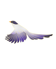 blue bird flying