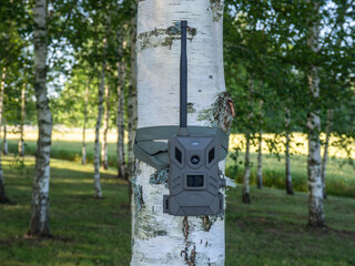 Small and compact wireless trail camera for versatile animal imaging or as a surveillance camera for real estate. Hunting camera with 4G connection