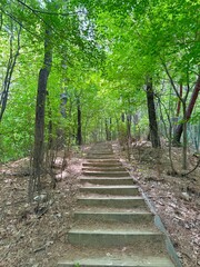 산길