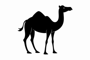 camel on the beach, camel vector illustration, camel silhouette, animal silhouette isolated vector Illustration, png, Funny cute camel, Jumping cartoon camels
