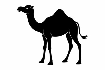 camel on the beach, camel vector illustration, camel silhouette, animal silhouette isolated vector Illustration, png, Funny cute camel, Jumping cartoon camels
