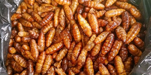 Closeup view of fried silkworm pupae, a traditional snack