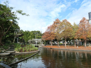 autumn in the park