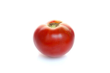 freshly picked organic tomatoes isolated on a white background