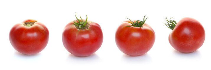 freshly picked organic tomatoes isolated on a white background