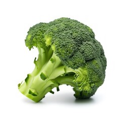Fresh Broccoli Isolated on White Background