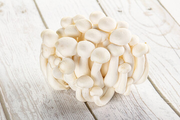 Japanese Shimeji mushroom for cooking