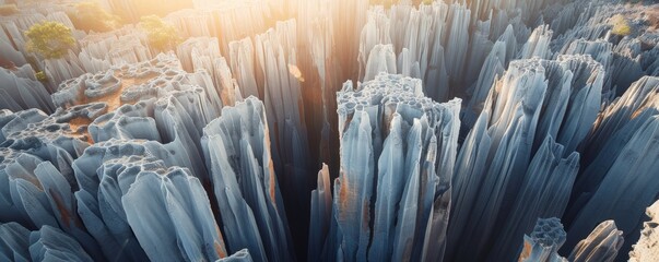 Majestic Sunset Over Tsingy de Bemaraha Stone Forest in Madagascar