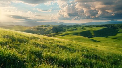 Fototapeta premium A beautiful, sunlit field with a clear blue sky. Generate AI