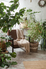 Obraz premium A fragment of the interior with a variety of indoor plants and plaster sculptures. Urban jungle concept. Biophilia design.