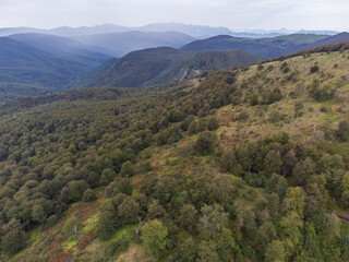 Fototapeta premium Aralar natural park, Guipuzcoa-Navarra, Spain