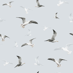 Seamless textured pattern and background with flying realistic watercolor seagulls. seamless background with birds