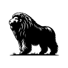 Bactrian Vector Silhouette - Bactrian Illustration - Humped Camel Vector.